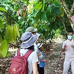 Banana Homestay