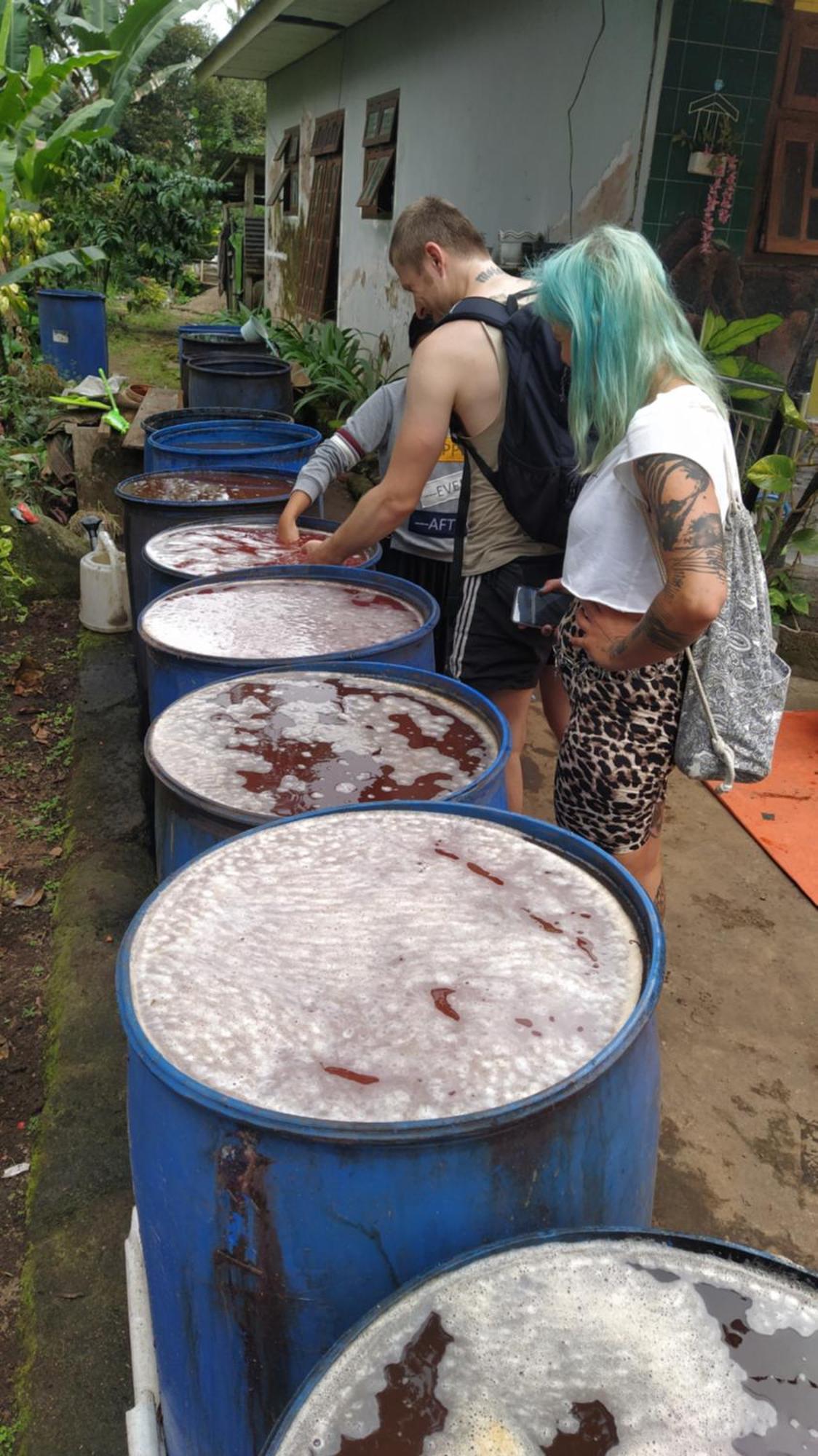 Banana Homestay