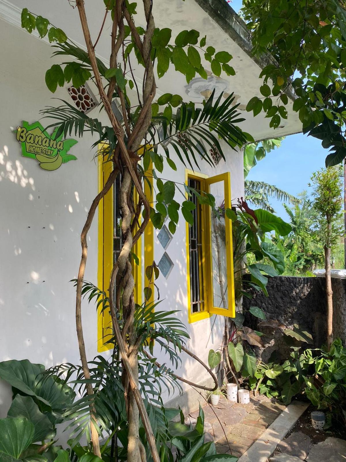 Banana *
