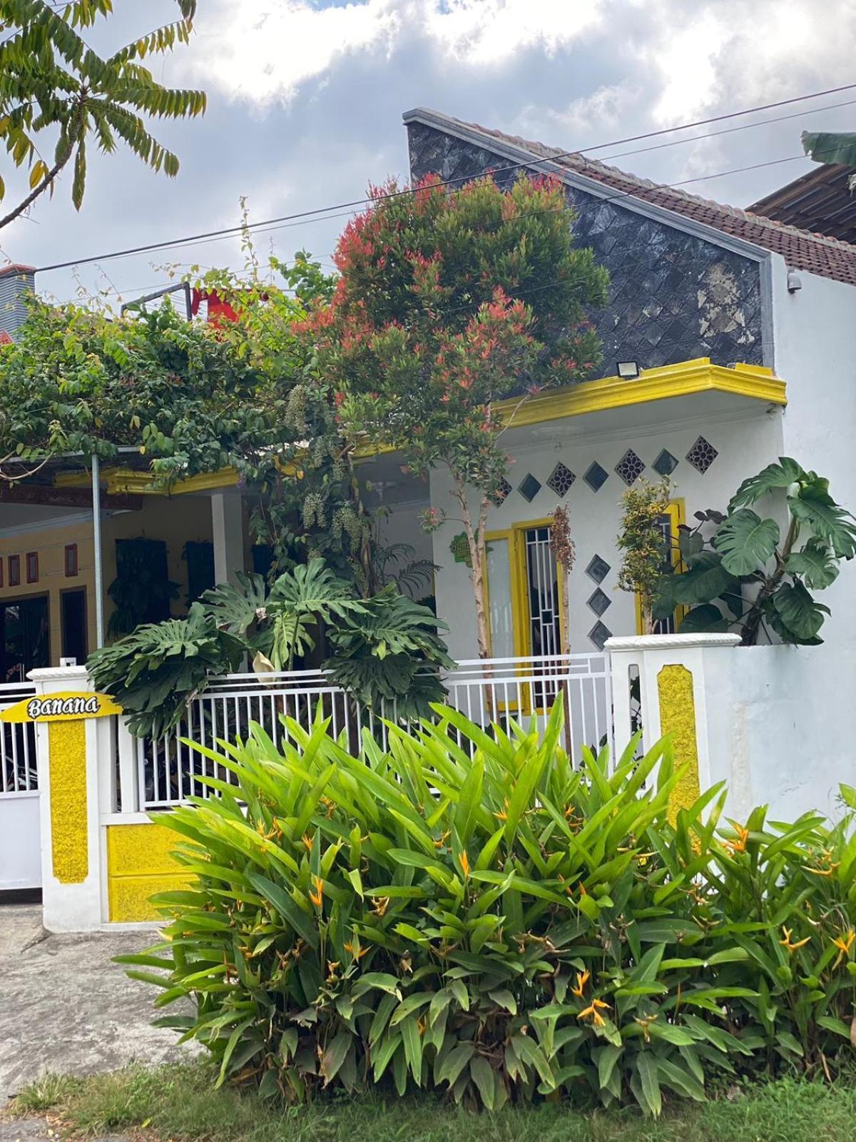 Banana Homestay *