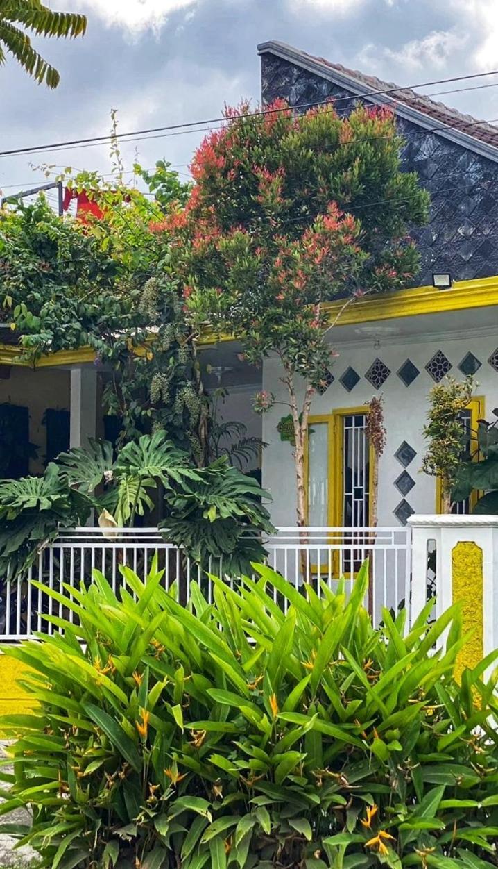 Banana Homestay *